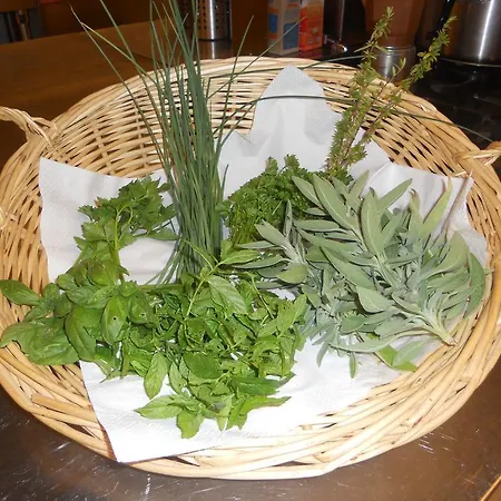 Farm stay Casa Faustina *